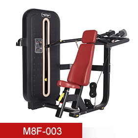 m8 ms fitness